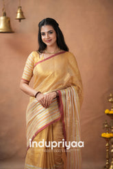 Chiku Handloom Tissue Cotton Saree